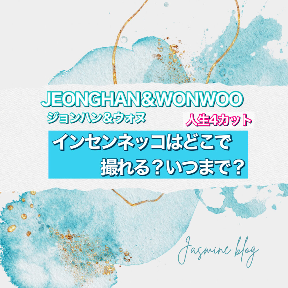 JEONGHAN X WONWOO SEVENTEEN　セブチ　ジョンハン　ウォヌ　インセンネッコ　インセンネコッ　人生４カット　どこで撮れる　場所　いつまで