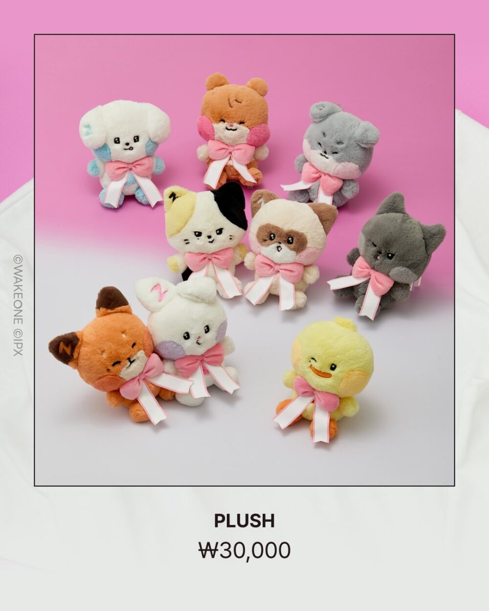 PLUSH　zeroni